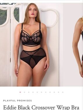 Sheer Black Mesh Underwire Bra & High-Waist Brief Set